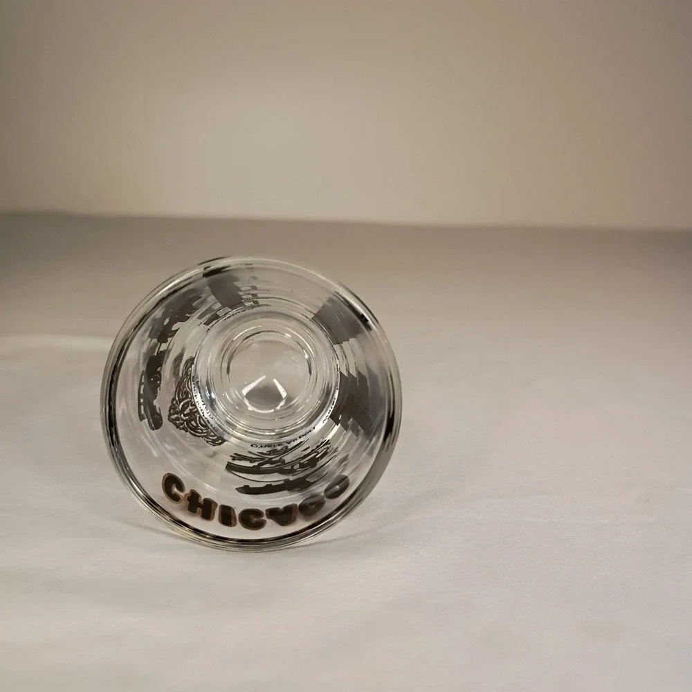Chicago Illinois Shot Glass USA Souvenir Airport Sears Tower John Hancock Center